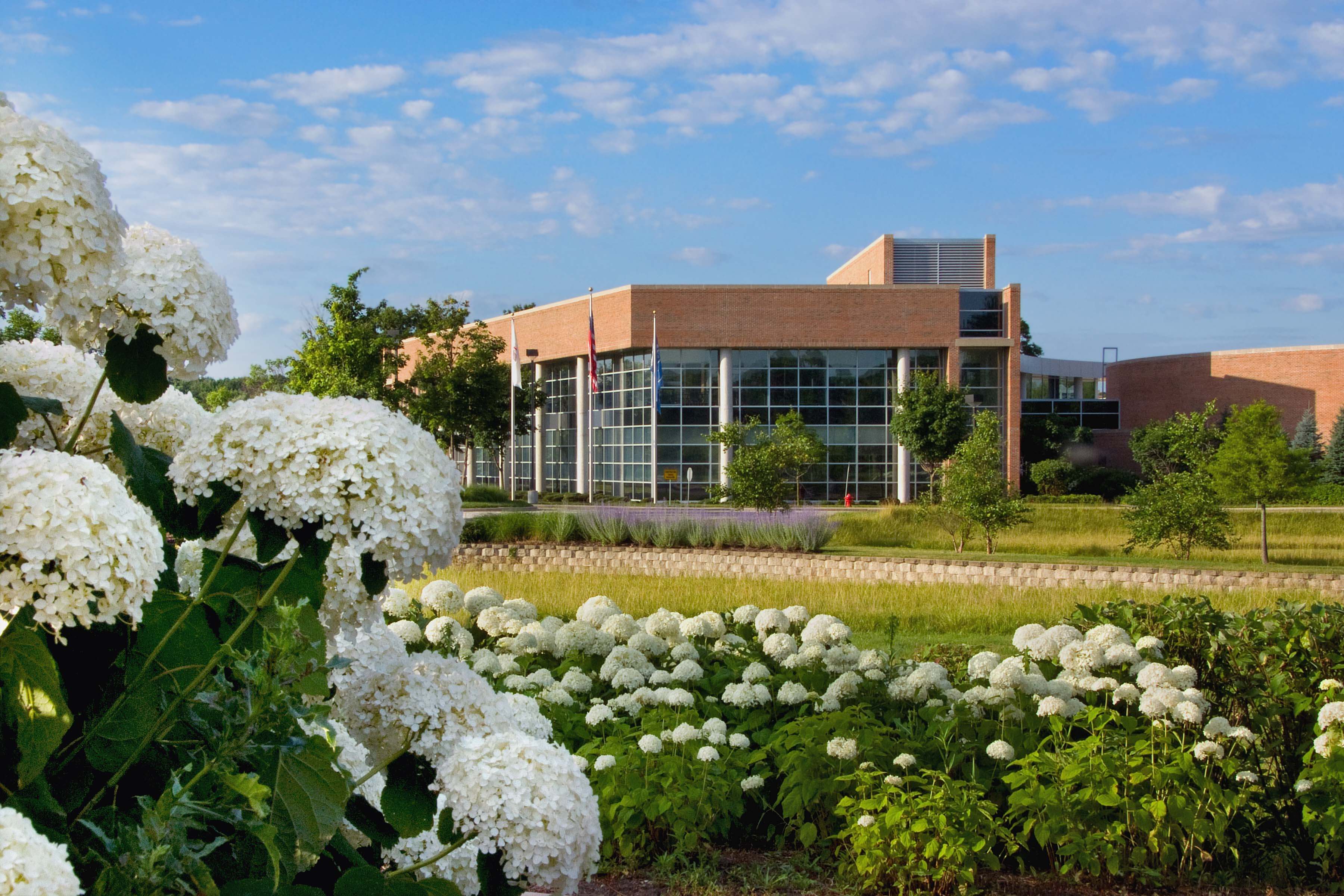 Umdnj Pa Program Faculty