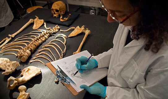 Forensic Anthropologist with Skeleton