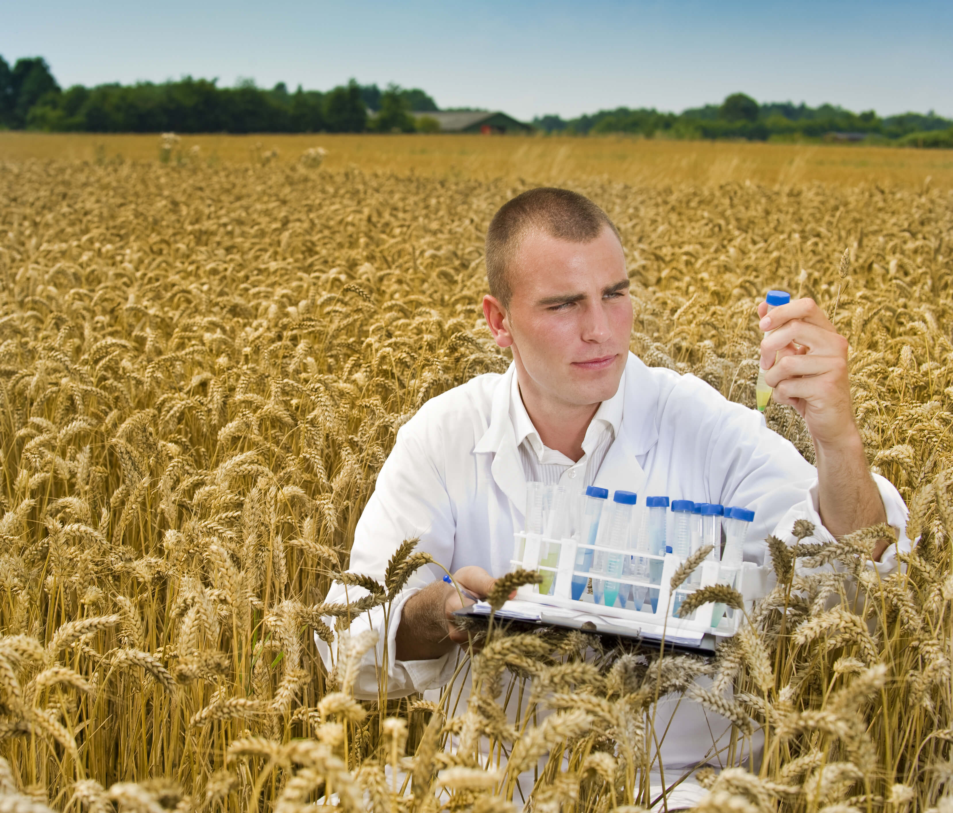 Аграрная наука сельскому хозяйству