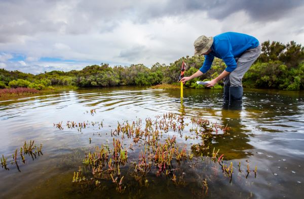 conservation scientist