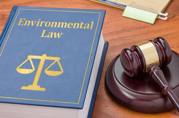 environmental lawyer