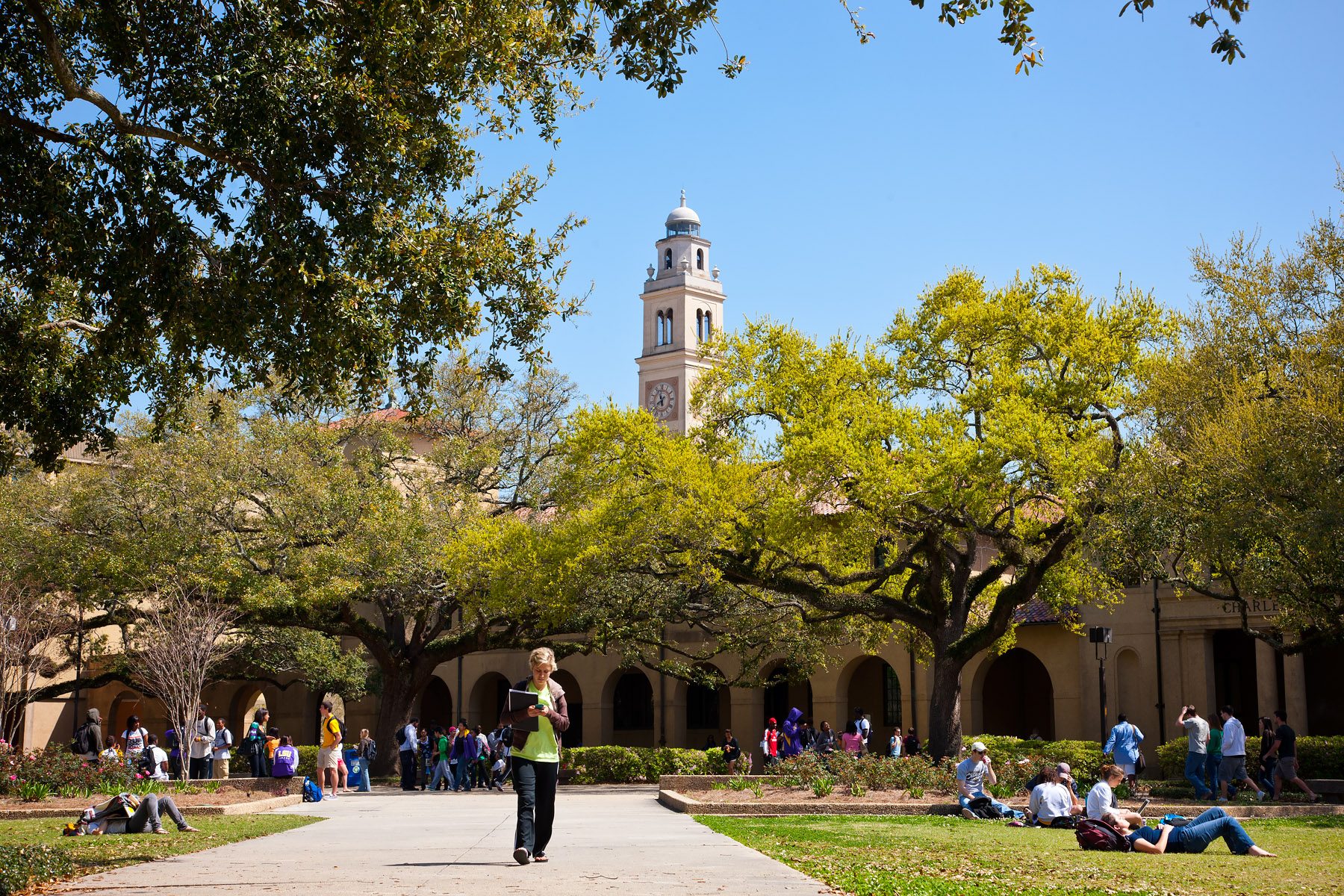 LSU wiki 1