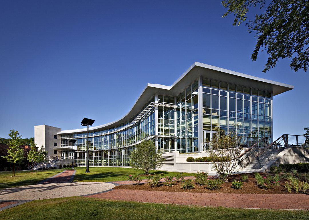 lewis university