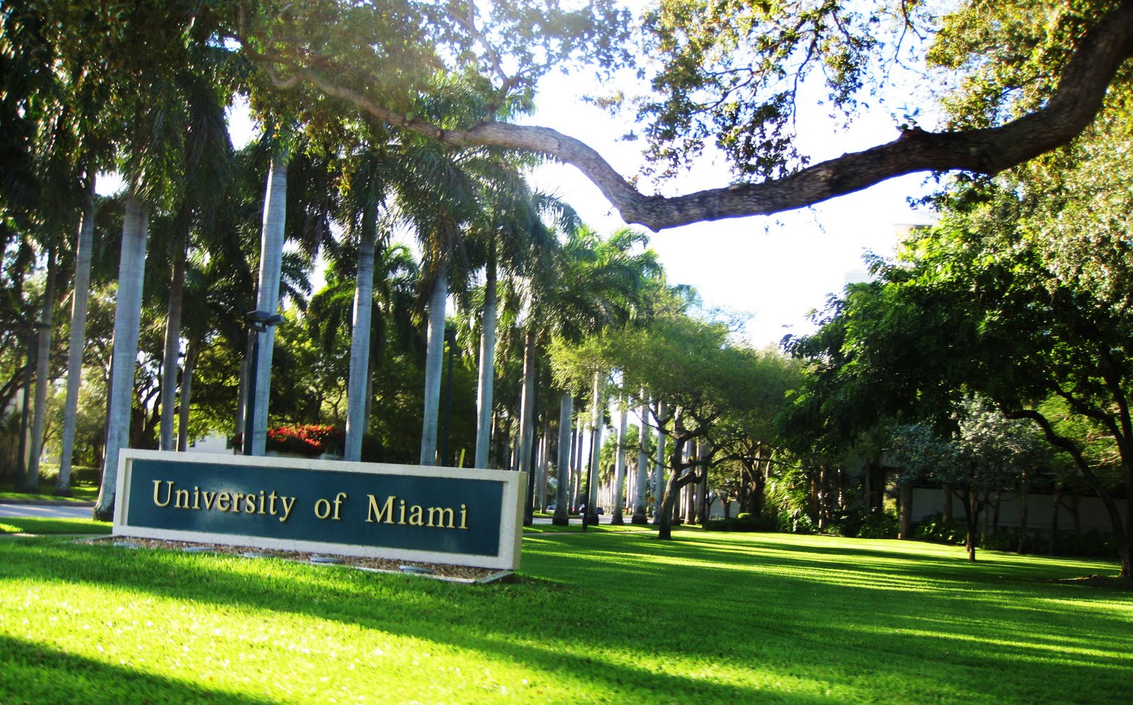 u of miami pinterest