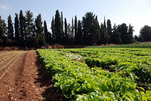 agriculture