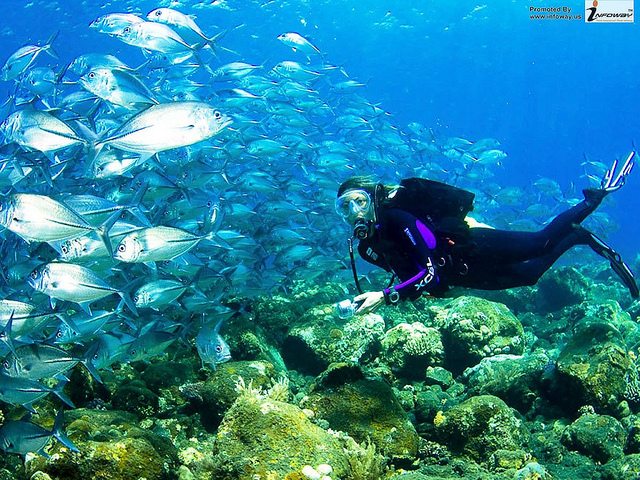 oceanographer