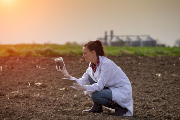 soil scientist