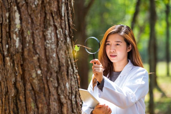 conservation scientist