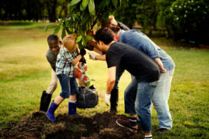 Family, Youth and Community Sciences