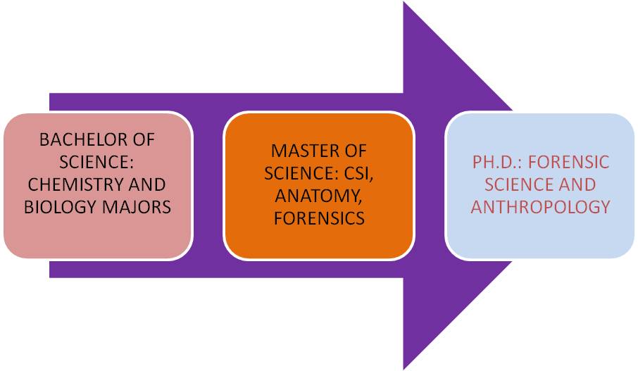 Master's thesis anthropology