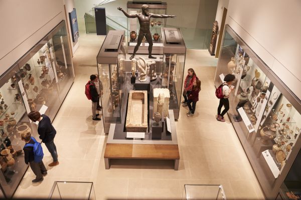become a museum curator