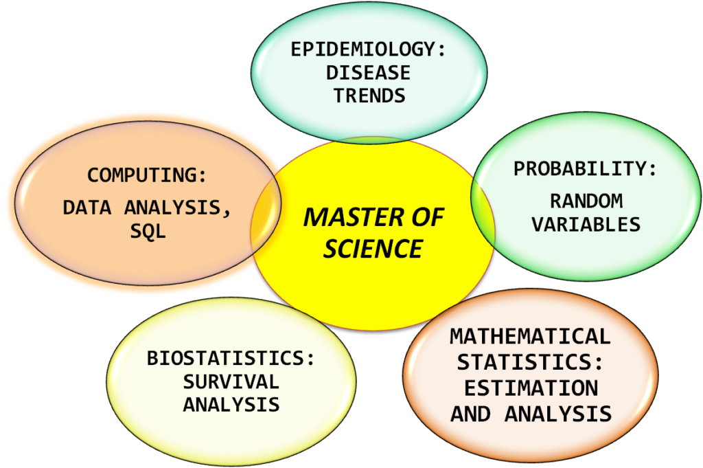 What is a Master's Degree in Biostatistics?