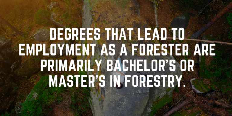 Education requirements for forestry jobs