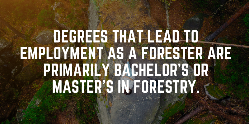 what can i do with a phd in forestry