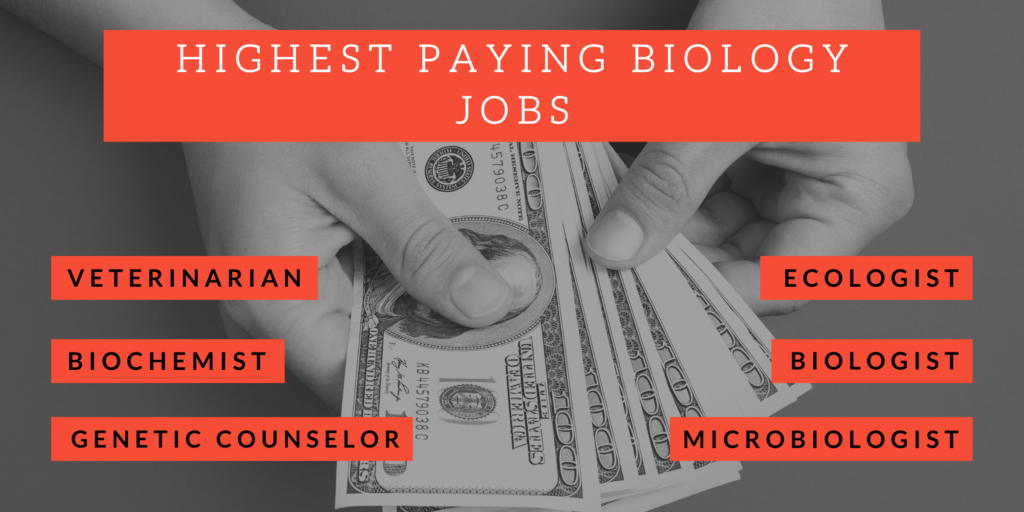 Highest Paying Degrees in Biology – Majors & Careers