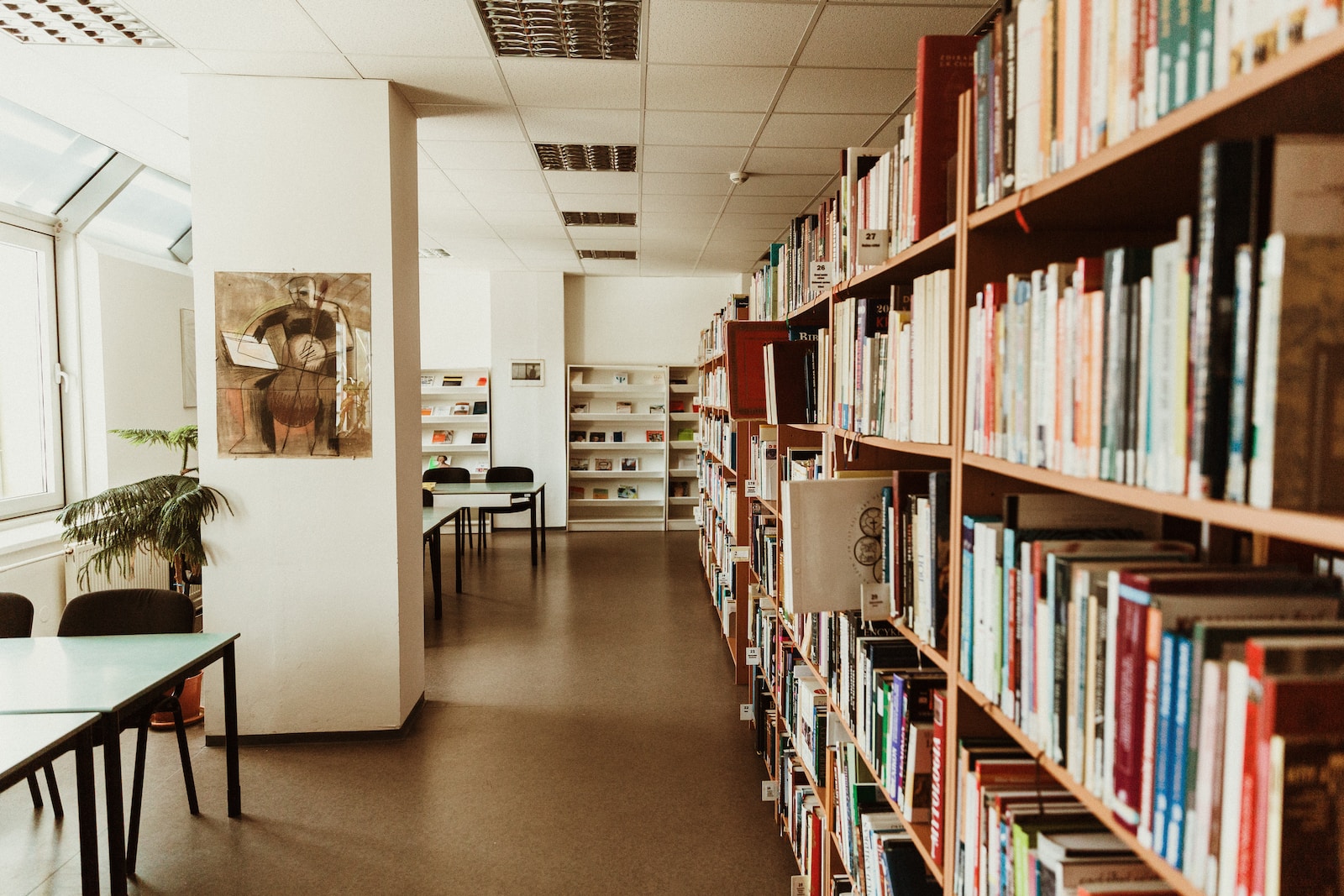 books on shelves in library