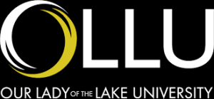 Our Lady of the Lake University cybersecurity masters