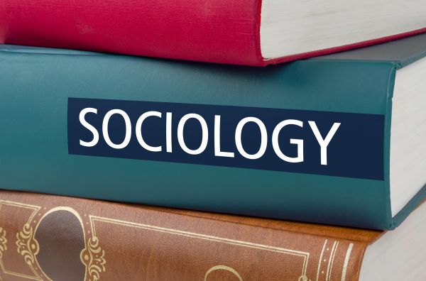online bachelor's degree in sociology